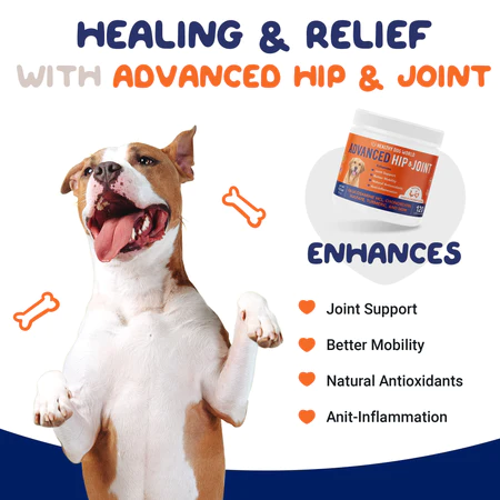 supplements for dogs joints supplements for dogs joints